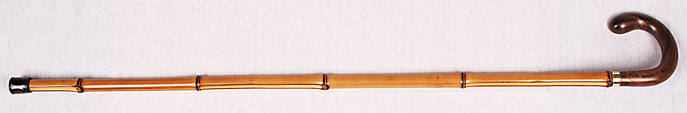 foto vych�zkov� h�l